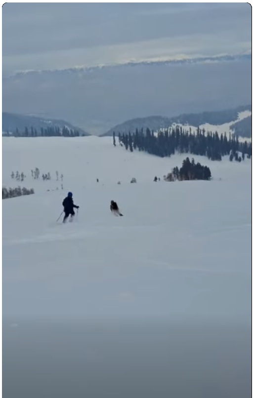 Skiing on Gulmarg slopes